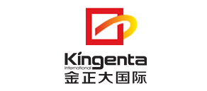 金正大國際