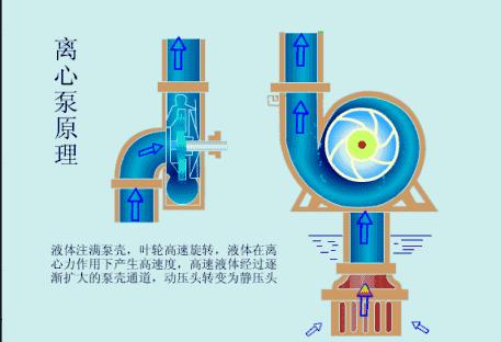 離心泵在原理動圖